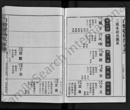 湖北杨氏族谱-白粉壁杨氏家乘 [38卷,首末各1卷](别名：Bai Fen Bi Yang Shi Jia Cheng).pdf电子版插图5