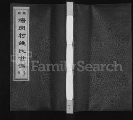 江苏姚氏族谱-常州梧岗村姚氏世谱 [12卷,及卷首](姚氏世谱).pdf电子版