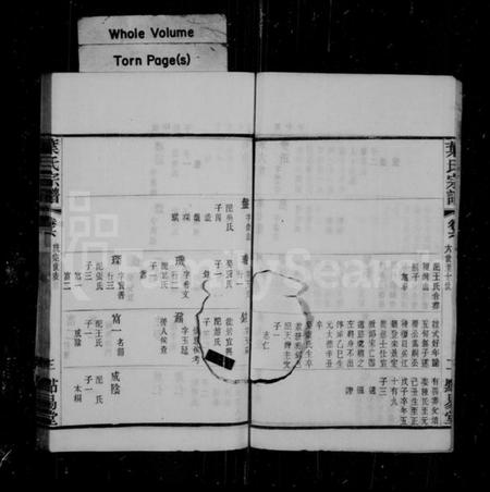 江苏叶氏族谱-叶氏宗谱 [12卷](别名：叶氏家乘、圻里叶氏宗谱).pdf电子版插图4