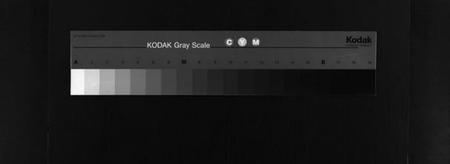 湖北叶氏族谱-叶氏宗谱 [8卷,首1卷](别名：叶氏族谱、Ye Shi Zong Pu、叶氏宗谱).pdf电子版