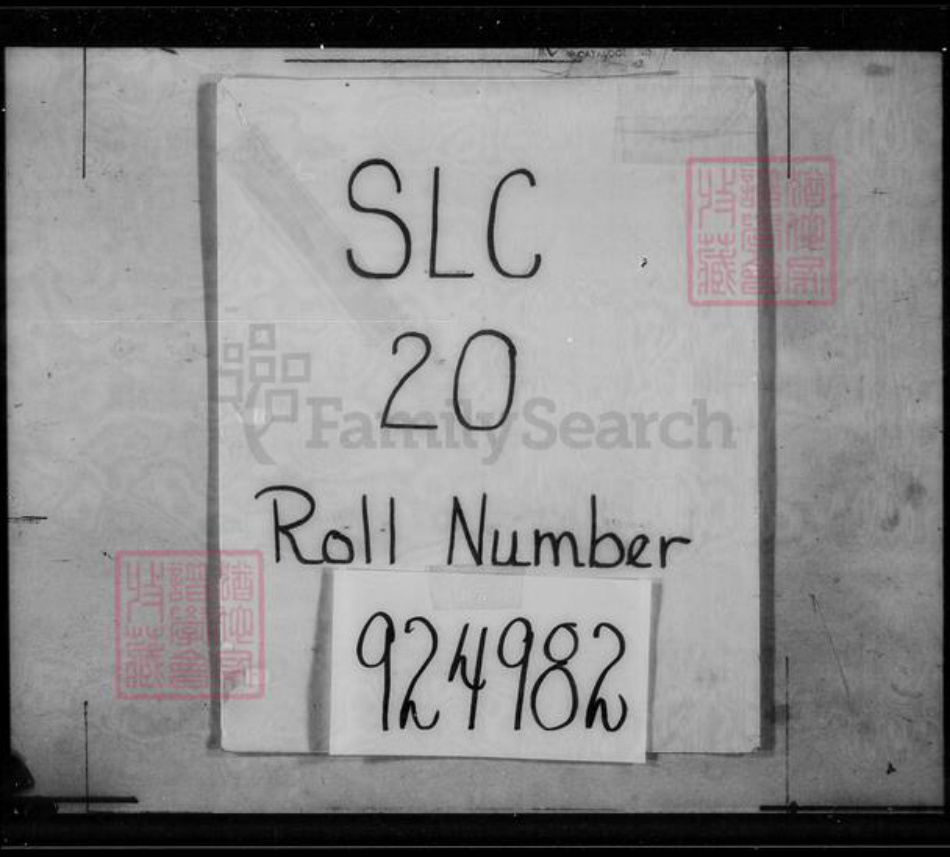 福建省广东省卢氏白玉堂族谱-卢氏大族谱.pdf电子版