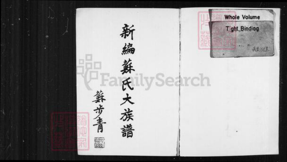 香港苏氏族谱-新编苏氏大族谱.pdf电子版插图4