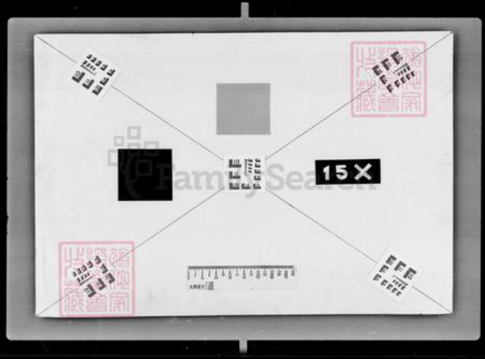 吉林省王氏族谱-[王姓]家谱档案资料.pdf电子版插图3