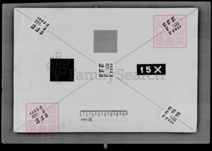 吉林省王氏族谱-[王姓]家谱档案资料.pdf电子版插图4