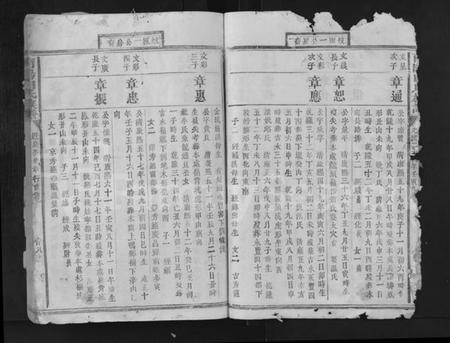 江西白氏族谱-南阳白氏族谱 [残卷].pdf电子版插图2