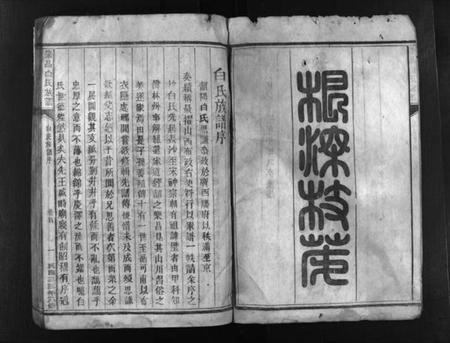 湖南白氏族谱-乐昌白氏族谱 [总卷数不详].pdf电子版插图2