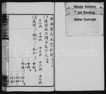 湖南宾氏族谱-宾氏族谱 [36卷,含首1卷].pdf电子版插图1