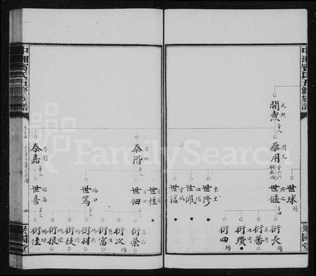 湖南宾氏族谱-宾氏族谱 [36卷,含首1卷].pdf电子版插图4