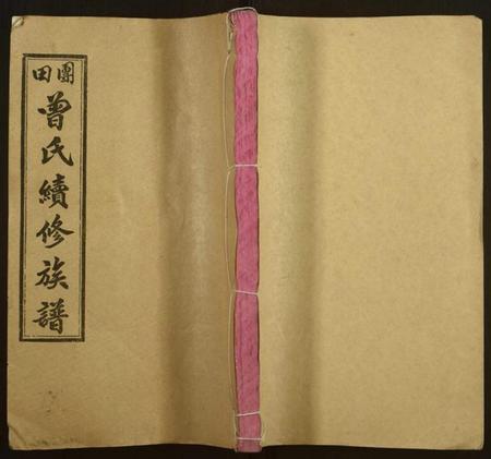 湖南曾氏族谱-团田曾氏续修族谱[76卷,别1卷,首4卷,外系5卷].pdf电子版