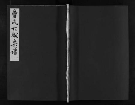 江西曹氏族谱-曹氏大成宗谱 [不分卷].pdf电子版