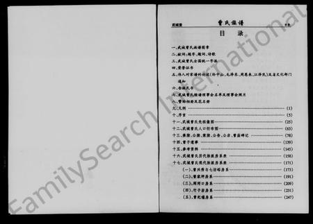 湖南曾氏族谱-湖南黄石曾氏族谱.pdf电子版插图1