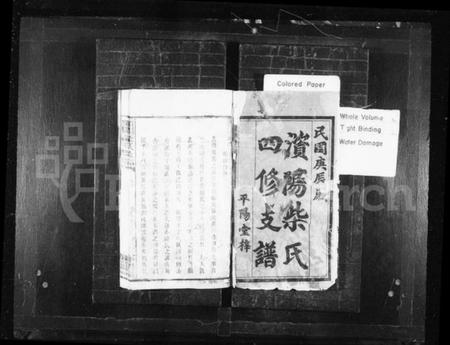 湖南柴氏族谱-澬阳柴氏四修支谱 [10卷,首末各1卷].pdf电子版插图1