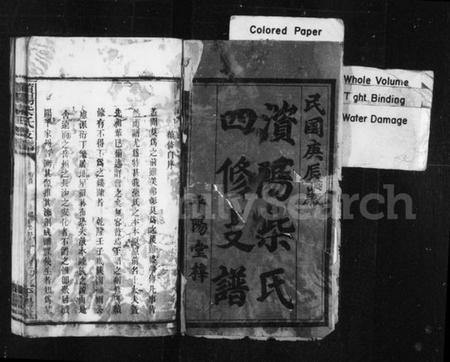 湖南柴氏族谱-澬阳柴氏四修支谱 [10卷,首末各1卷].pdf电子版插图2