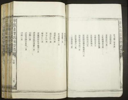 江西曾氏族谱-宁都曾氏丞公裔首届四族联修谱[不分卷].pdf电子版插图2