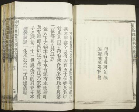 江西曾氏族谱-宁都曾氏丞公裔首届四族联修谱[不分卷].pdf电子版插图4