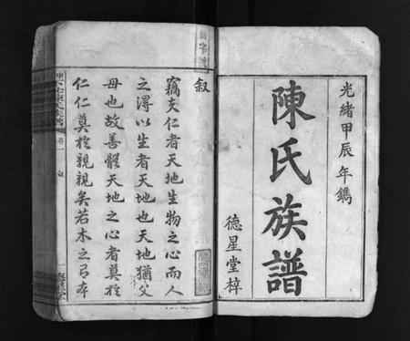 湖南陈氏族谱-中湘下砂陈氏族谱 [9卷].pdf电子版插图1