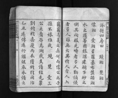 湖南陈氏族谱-中湘下砂陈氏族谱 [9卷].pdf电子版插图4