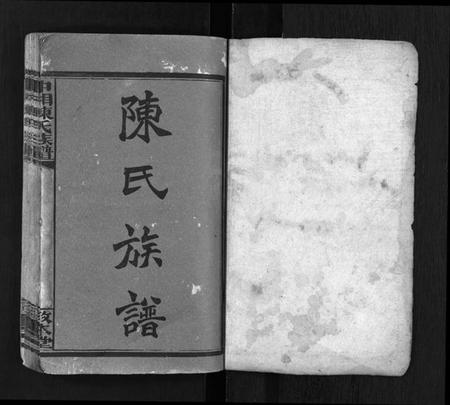 湖南陈氏族谱-中湘陈氏族谱 [31卷].pdf电子版插图1