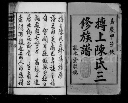 湖南陈氏族谱-抟上陈氏三修族谱 [8卷].pdf电子版插图3