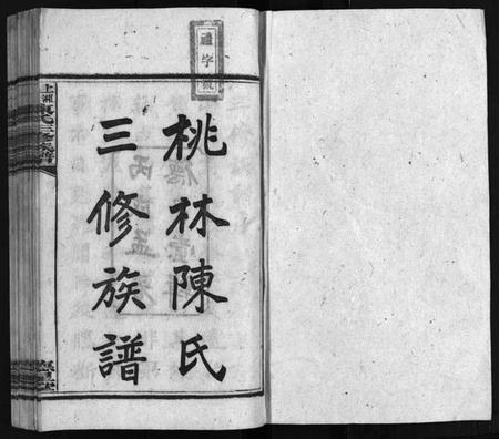 湖南陈氏族谱-湘乡桃林陈氏三修族谱 [16卷,首4卷,末1卷].pdf电子版插图1