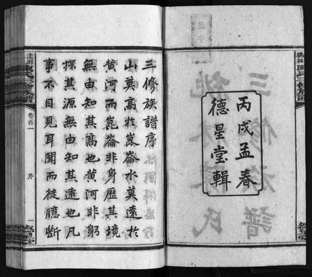 湖南陈氏族谱-湘乡桃林陈氏三修族谱 [16卷,首4卷,末1卷].pdf电子版插图2