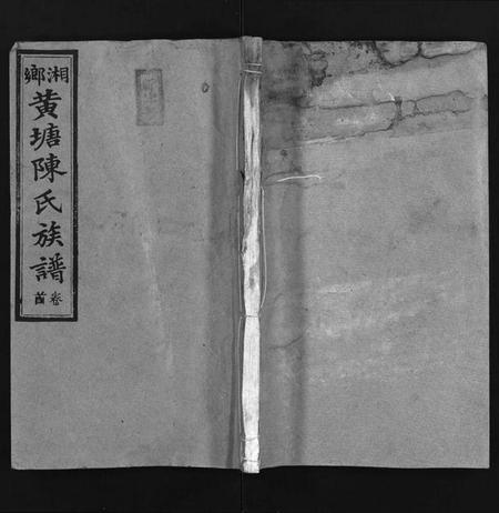 湖南陈氏族谱-湘乡黄塘陈氏族谱 [29卷,含首2卷].pdf电子版