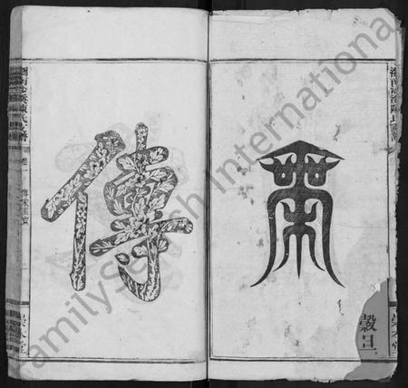 湖南陈氏族谱-浏南沙溪陈氏支谱 [4卷].pdf电子版插图2