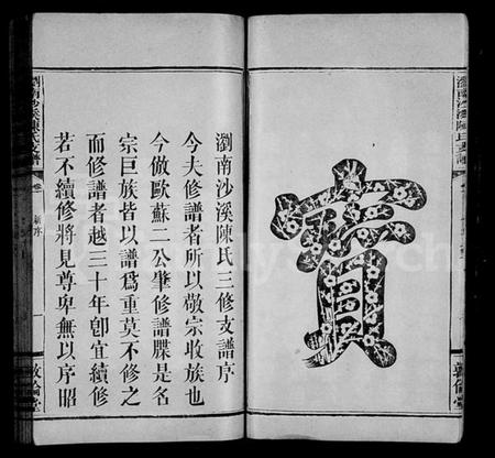 湖南陈氏族谱-浏南沙溪陈氏支谱 [5卷].pdf电子版插图5