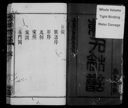 湖南陈氏族谱-浏阳义门陈氏族谱.pdf电子版插图2