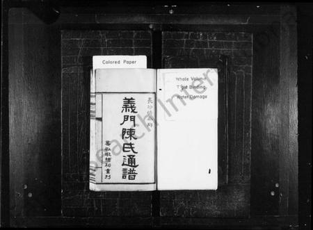 湖南陈氏族谱-义门陈氏通谱 [6卷,含首1卷].pdf电子版插图1