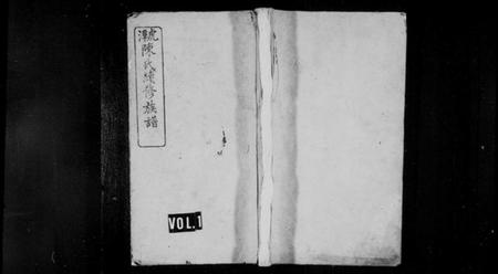 湖南陈氏族谱-虎潭陈氏续修族谱 [19卷,首尾各3卷,末1卷].pdf电子版