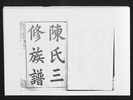 湖南陈氏族谱-邵东陈氏三修族谱 [19卷,首3卷].pdf电子版插图1