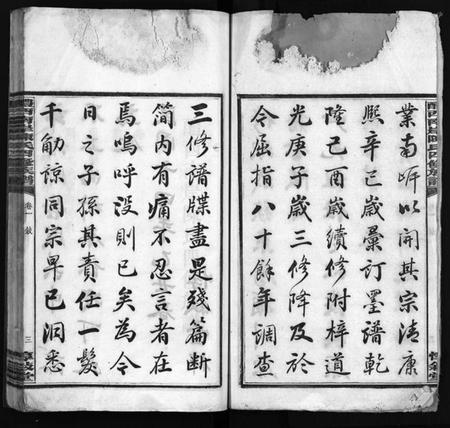 湖南陈氏族谱-醴西南岸陈氏四修族谱 [15卷].pdf电子版插图2