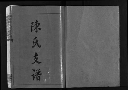 湖南陈氏族谱-铜梁陈氏续修支谱[5卷,首1卷].pdf电子版插图1