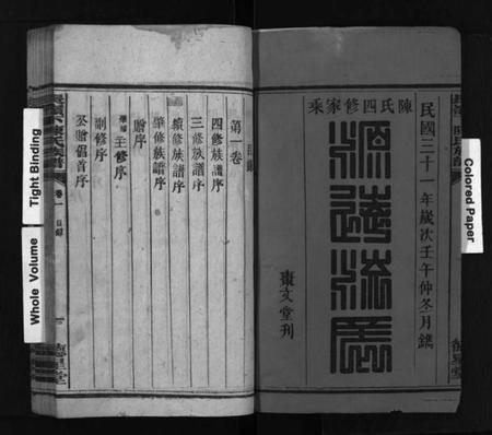 湖南陈氏族谱-长岭下陈氏族谱 [8卷].pdf电子版插图1