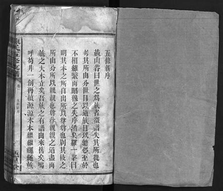 湖南陈氏族谱-陈氏五修支谱 [残卷].pdf电子版插图1