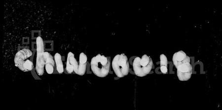 湖南陈氏族谱-陈氏六修族谱 [君房22卷,首1卷,麒房12卷,垂丝图2卷].pdf电子版插图3