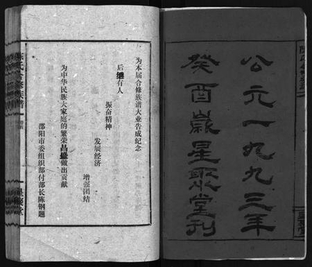 湖南陈氏族谱-陈氏合修族谱 [35卷,首1卷].pdf电子版插图2