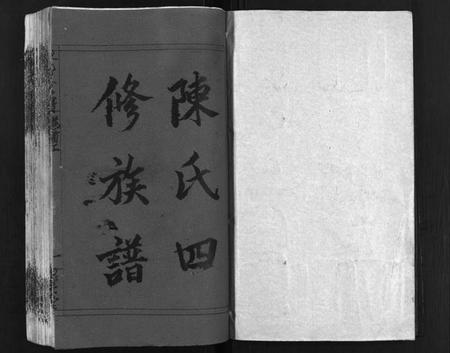 湖南陈氏族谱-陈氏四修族谱 [13卷,含首上下卷].pdf电子版插图1