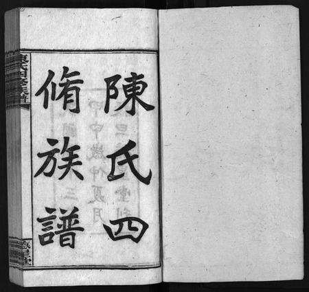 湖南陈氏族谱-陈氏四修族谱 [26卷,首3卷].pdf电子版插图1