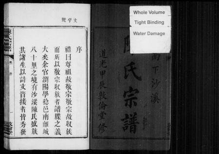 湖南陈氏族谱-陈氏宗谱 [2卷].pdf电子版插图2