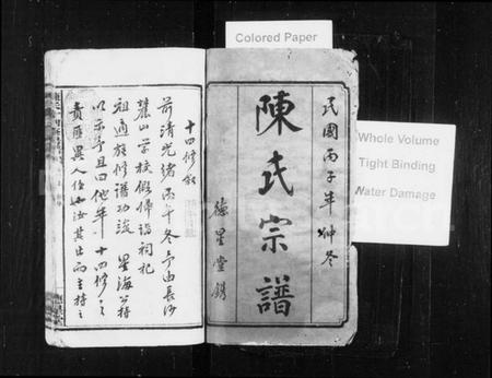 湖南陈氏族谱-陈氏宗谱 [34卷,首3卷,末5卷].pdf电子版插图1