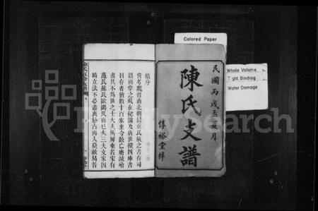 湖南陈氏族谱-陈氏支谱 [20卷,含卷末1卷].pdf电子版插图2