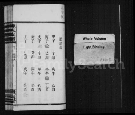 湖南陈氏族谱-陈氏支谱 [8卷].pdf电子版插图3