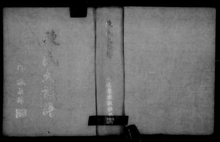 广东、福建陈氏族谱-陈氏大族谱.pdf电子版