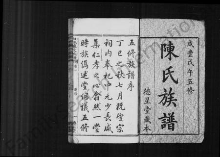 湖南陈氏族谱-陈氏族谱 [16卷].pdf电子版插图1