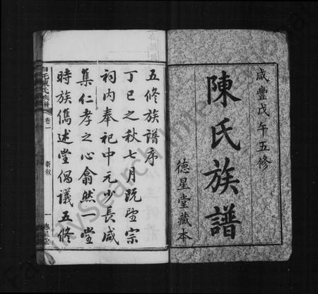 湖南陈氏族谱-陈氏族谱 [16卷].pdf电子版插图2