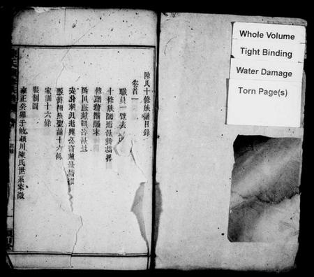 湖南陈氏族谱-陈氏族谱 [20卷,及卷首].pdf电子版插图1