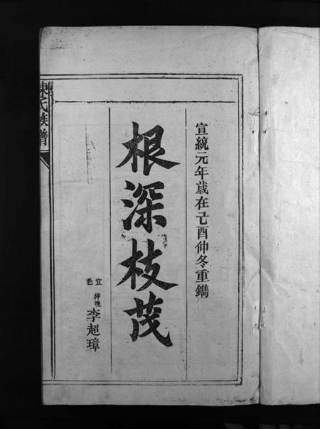 湖南陈氏族谱-陈氏族谱 [6卷].pdf电子版插图2