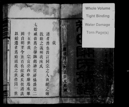 湖南陈氏族谱-陈氏族谱 [8卷,首2卷].pdf电子版插图2